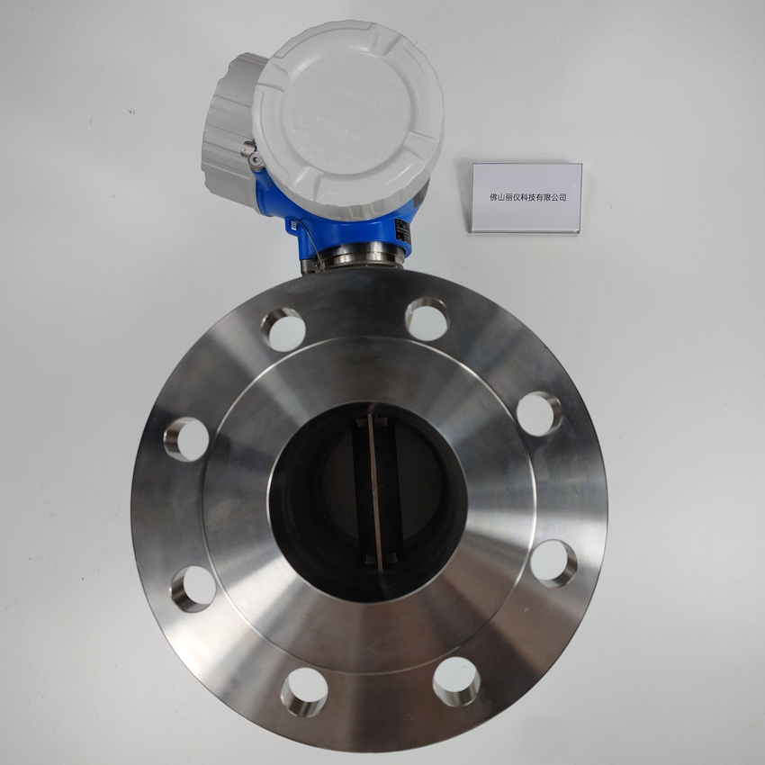 E+H 7F2C1H vortex flowmeter flange connection and sensor body side view
