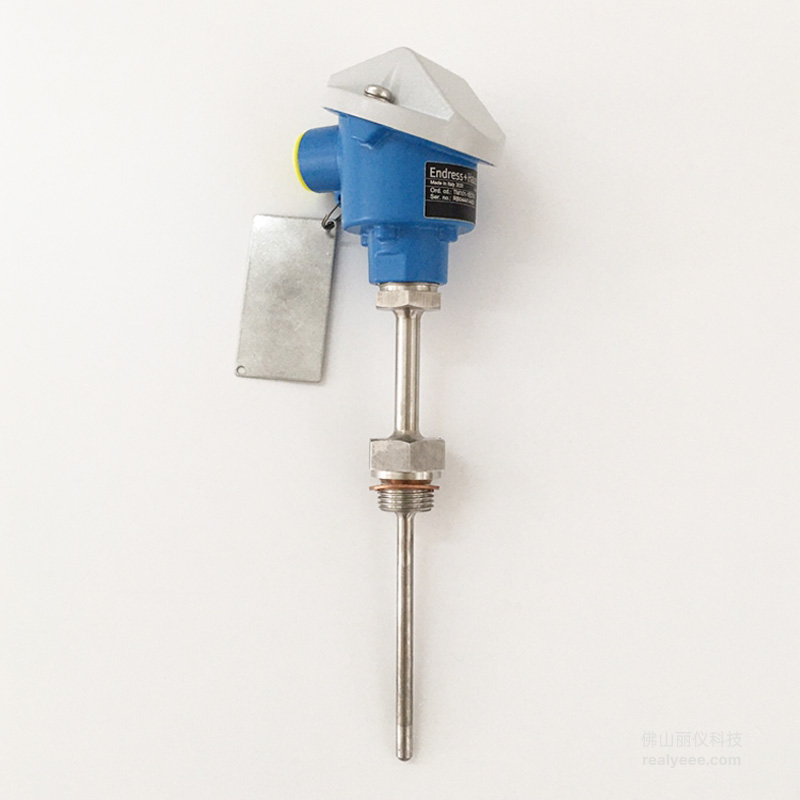 E+H TM101 temperature transmitter complete product front view real photo