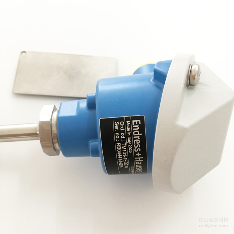 E+H TM101 iTHERM ModuLine transmitter head connection detail