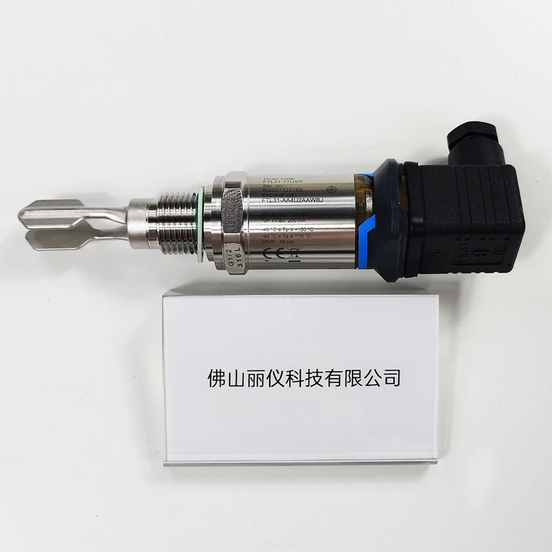 E+H FTL31-AA4U2AAWBJ（FTL31-11U4/0） 音叉液位开关  型号标签