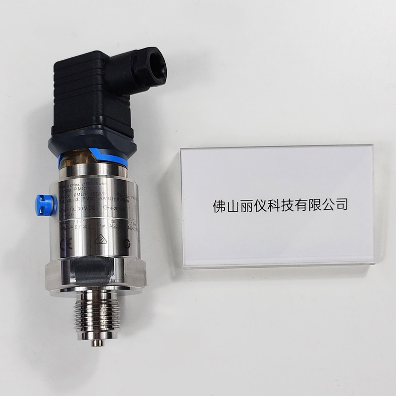 E+H PMC11系列 压力变送器 型号标签