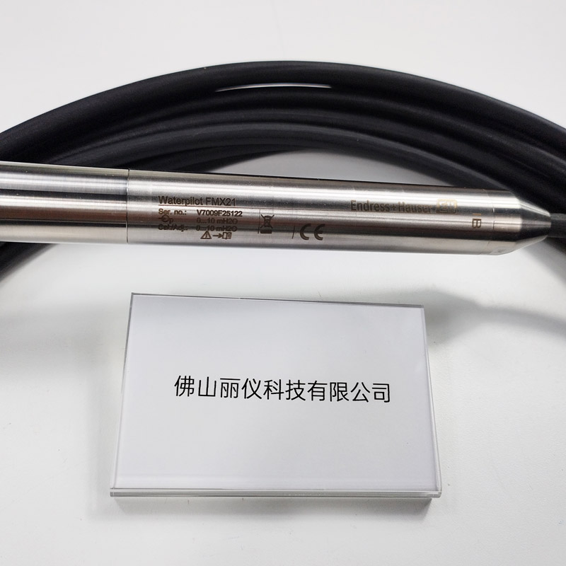 E+H FMX21 静压液位计 316L探头型号标签