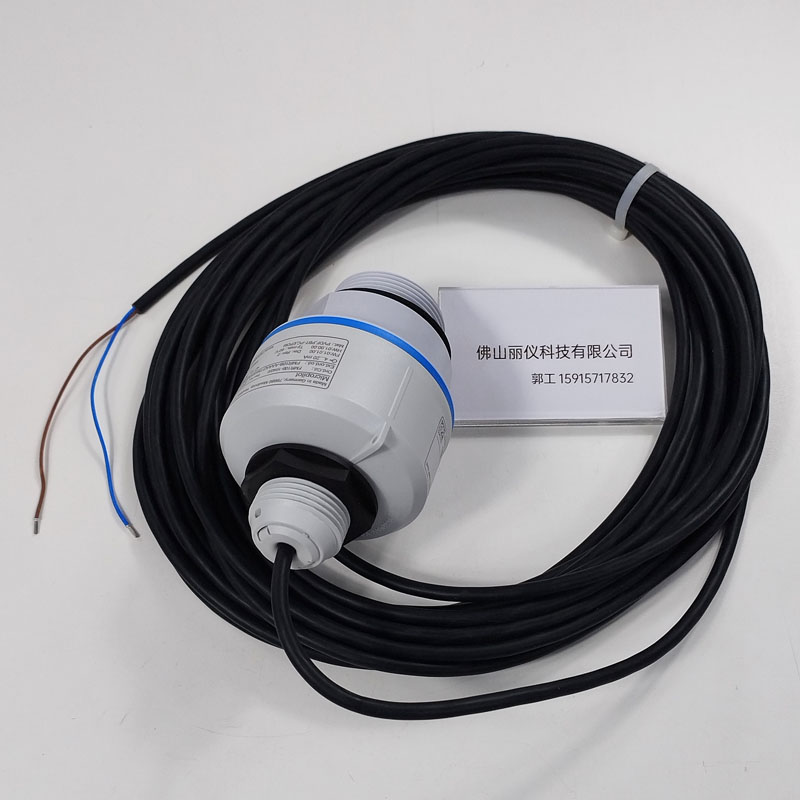 E+H FMR10B-AAAADTBMWDGWEEB(FMR10B-1040/0) 雷达物位计 预装10m电缆 电气连接细节