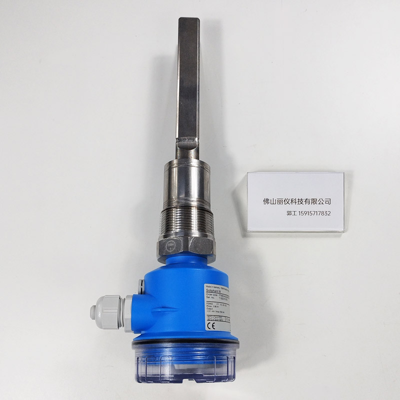 E+H FTM50-AGJ2A2A12AA 音叉料位开关 316L叉体 NPT1-1/2螺纹 过程连接