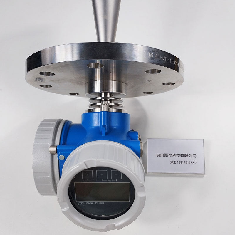 E+H FMR51 雷达液位计 Micropilot 显示屏