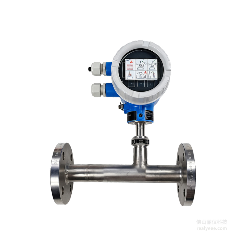 E+H 6AAB25 热式质量流量计 | 6AAB25-AADACAASAD2SH+ABDAZ1（6AAB25-19L0/115） t-mass A 150 DN25 | 佛山丽仪科技 现货经销
