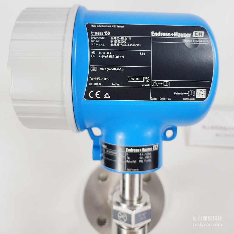 E+H 6AAB 热式质量流量计 t-mass A 150 铭牌型号标签